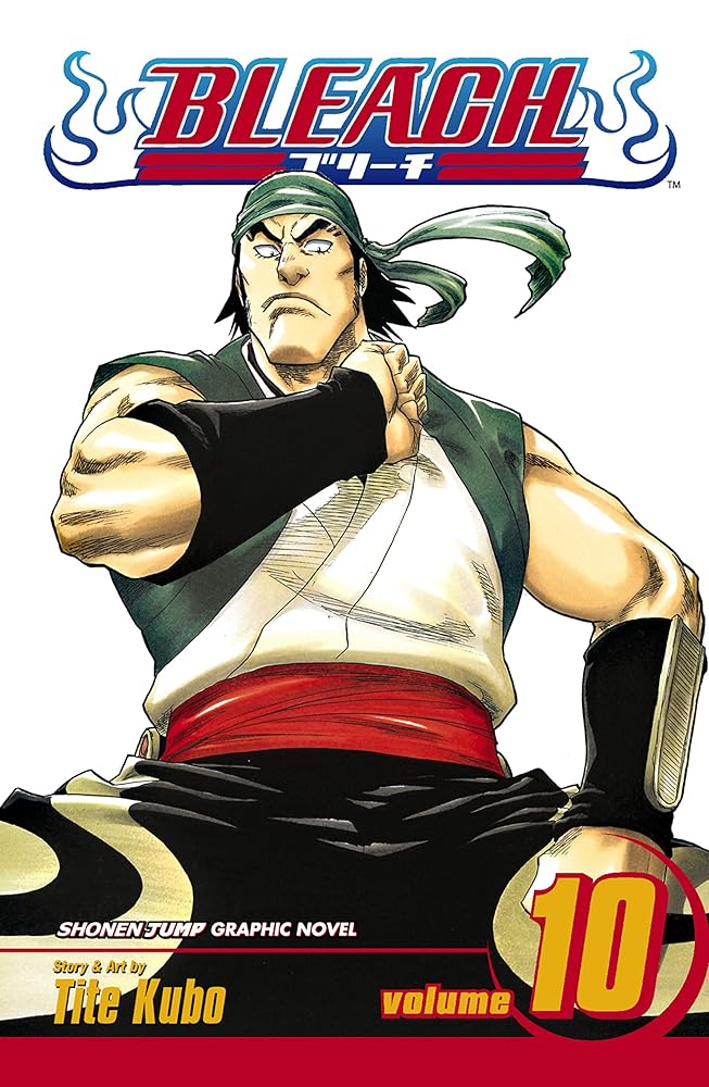 Bleach, Volume 10 cover image