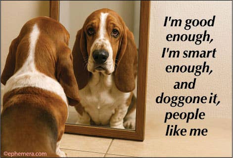 MAGNET: I'm good enough, I'm smart enough, doggone it…..