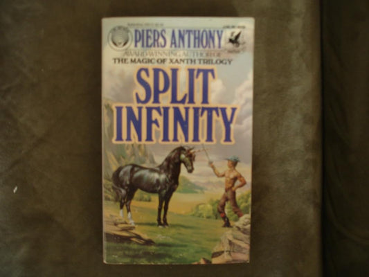 Split Infinity cover image