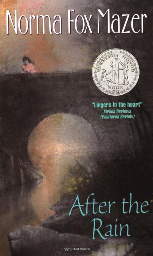After the Rain cover image