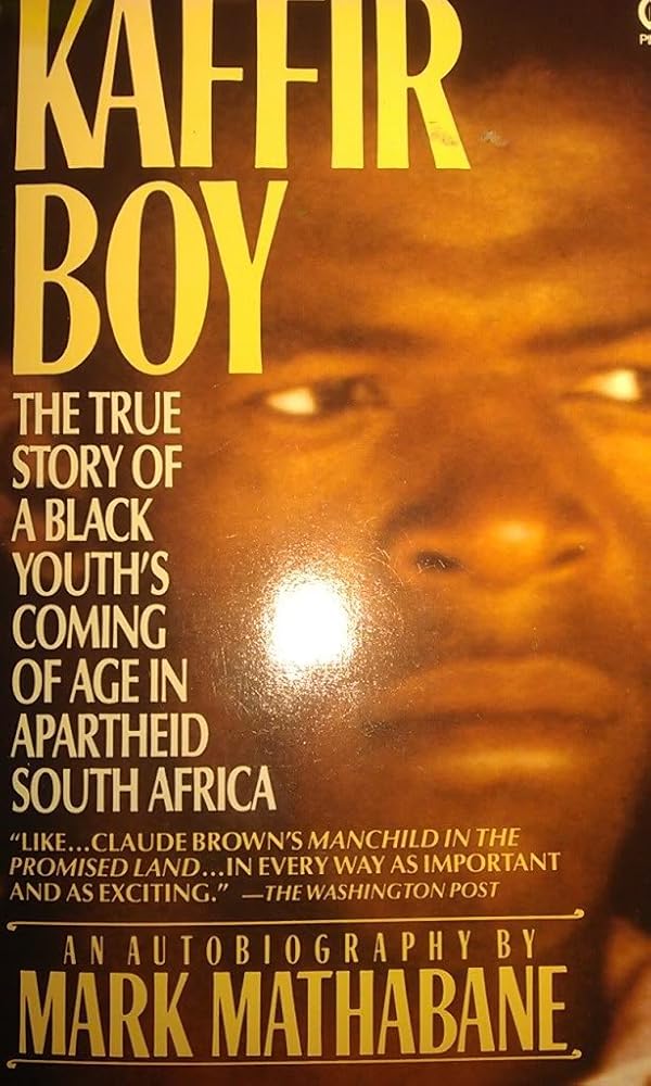 Kaffir Boy cover image