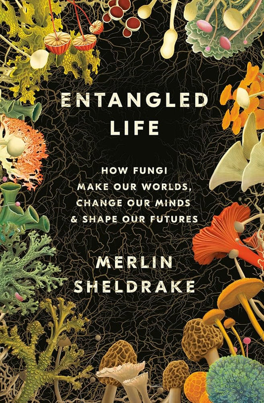 Entangled Life: How Fungi Make Our Worlds, Change Our Minds & Shape Our Futures cover image
