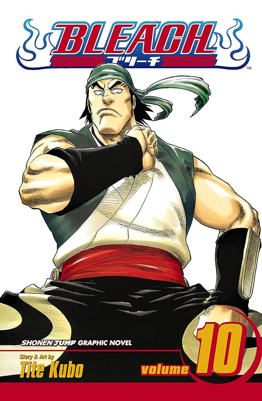 Bleach, Volume 10 cover image