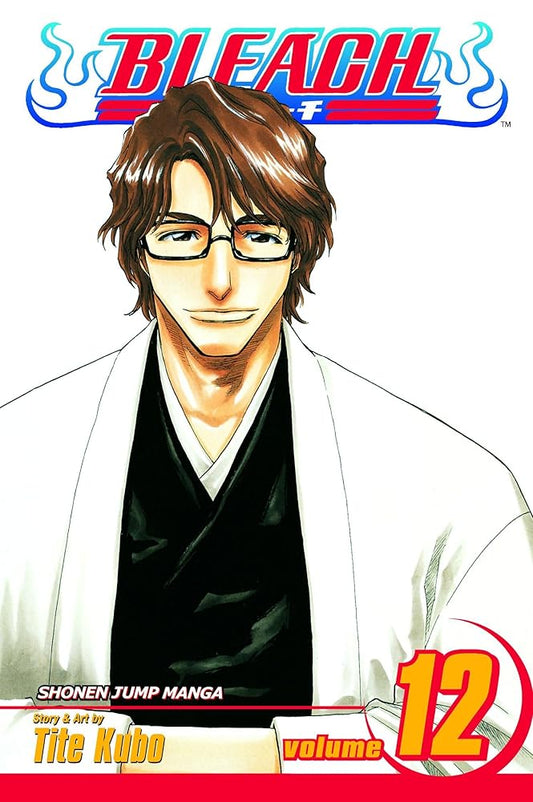 Bleach, Vol. 12 cover image