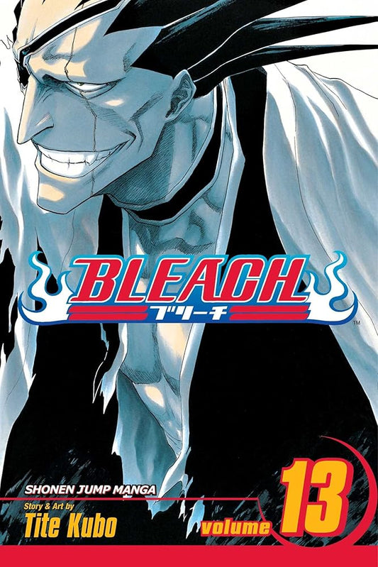 Bleach, Vol. 13 cover image