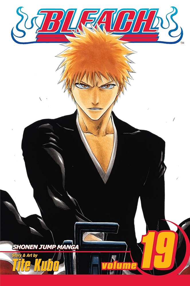 Bleach, Vol. 19 cover image