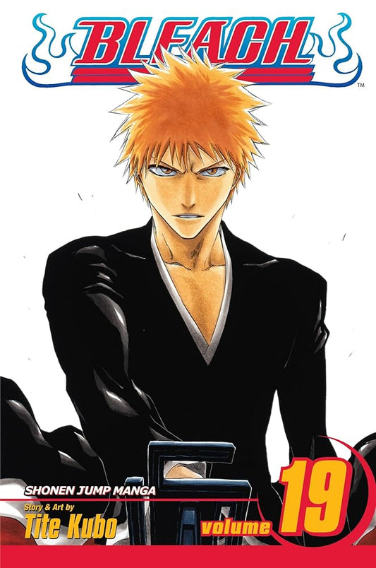 Bleach, Vol. 19 cover image